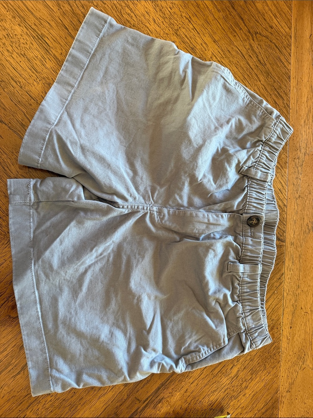 Chubbies Shorts